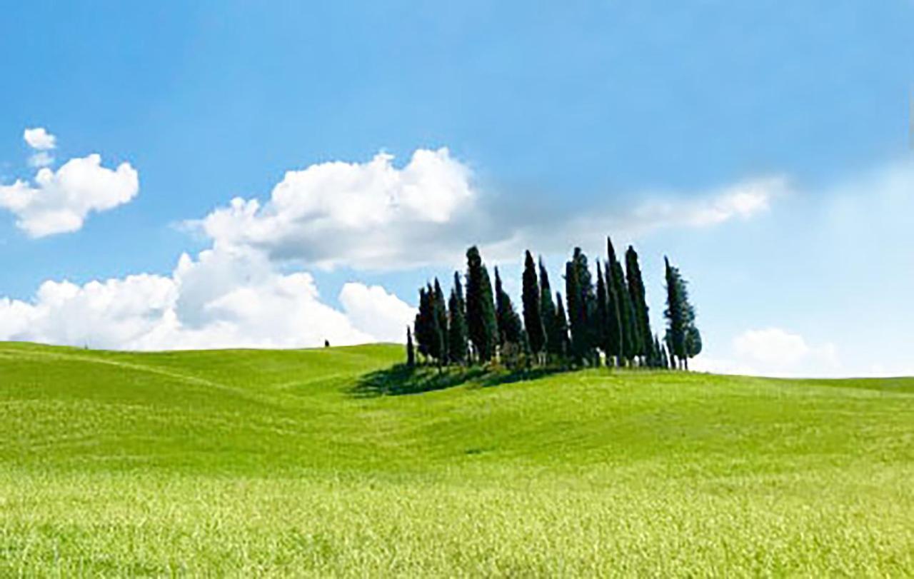 Апартаменты La Casa Nel Poggio 247 Vicino A Siena Ponte a Tressa Экстерьер фото